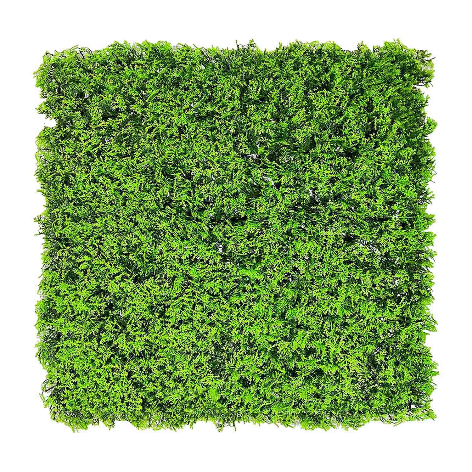 Panel osłonowy Żywopłot Tuja DECOTeam, 50 x 50 cm